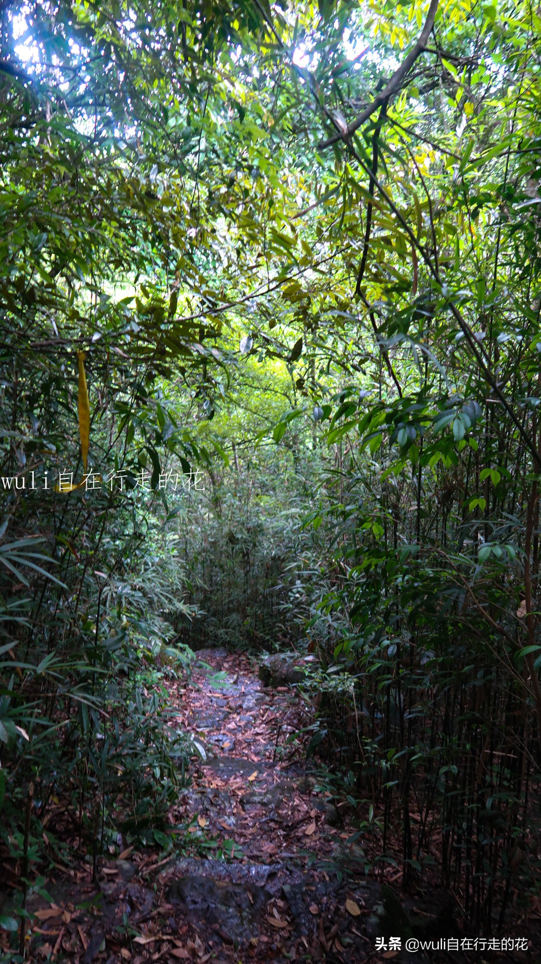 福州十八重溪徒步路线,福州森林公园登山徒步路线