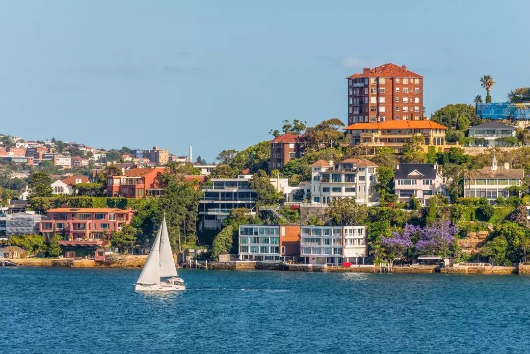 入境美国带了牛肉干怎么办,携带牛肉干入境