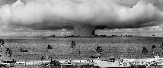 金刚大战哥斯拉怪兽电影解析,金刚哥斯拉大战怪兽