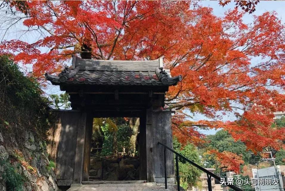 周杰伦说好一起去旅行,周杰伦说好不哭影响力