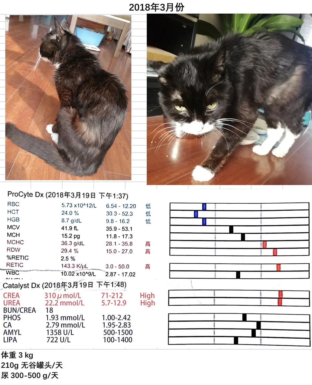 糖尿病患者胆囊炎胰腺炎同时出现,胆囊结石胰腺炎糖尿病