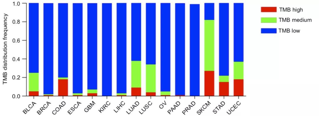 博士毕业神器3+分纯生信杂志：平均一审只要一个月，年刊量1000+
