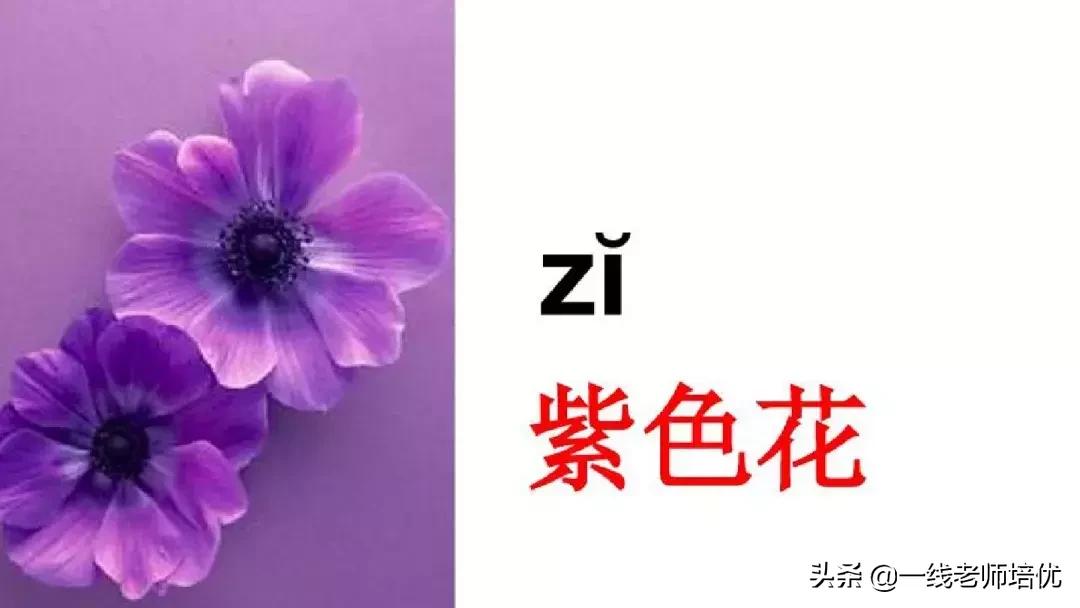 小学汉语拼音整体认读音节,小学汉语拼音整体认读音节视频