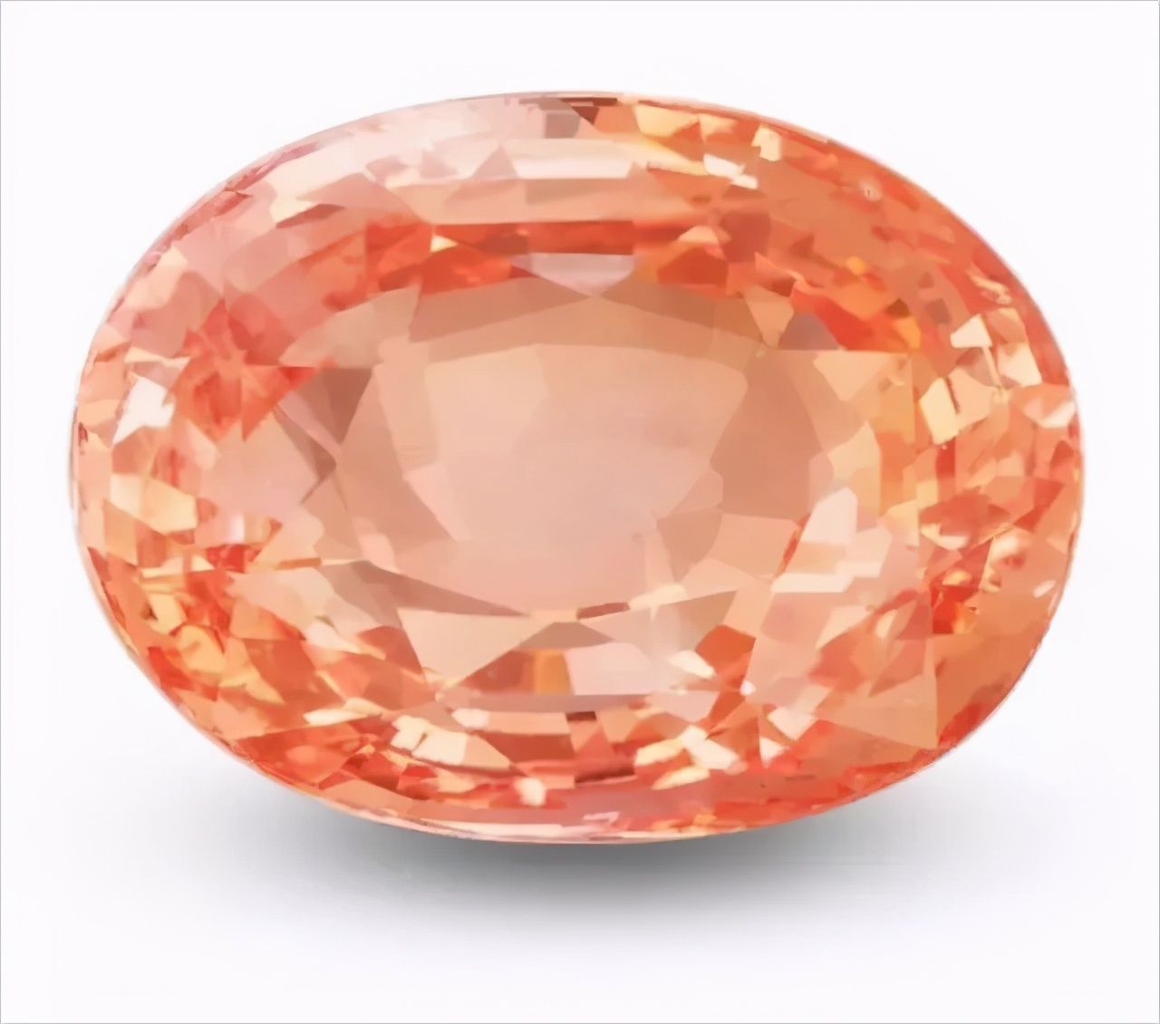 最完美的帕帕拉恰,帕帕拉恰是啥玩意