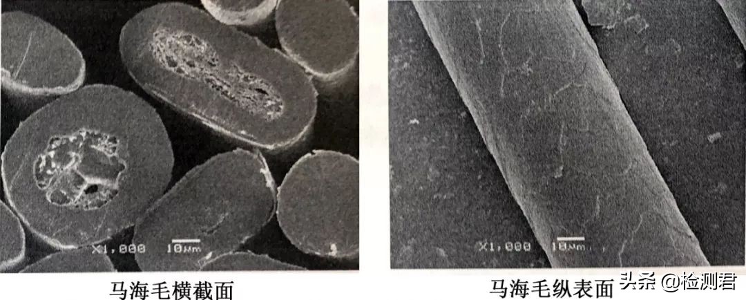 动物毛怎么收藏,各种动物毛纤维