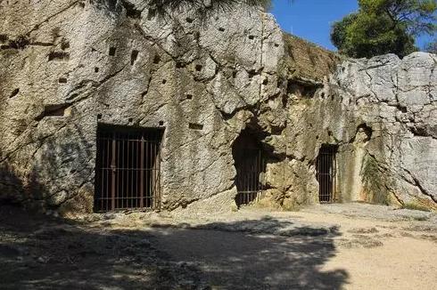 柏拉图亚里士多德雅典学院,柏拉图徒弟亚里士多德