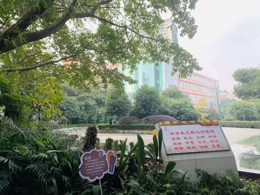 重庆哪所学校环境最好,重庆环境最差的学校