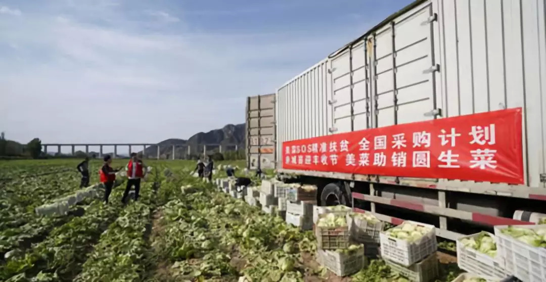 美菜网商业模式,借鉴日本餐饮四大经验