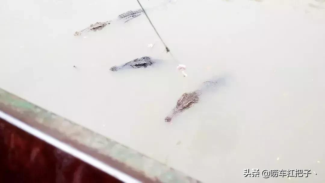 泰国旅游我和我的祖国,独自一人去泰国游