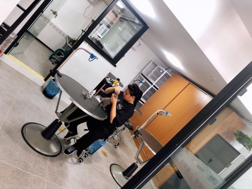 宠物港宠物店加盟利润怎么样,如何选正规宠物店地址