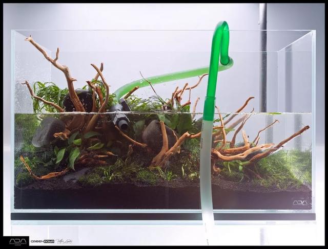 ada风格造景用什么底砂,鱼缸造景ada风格