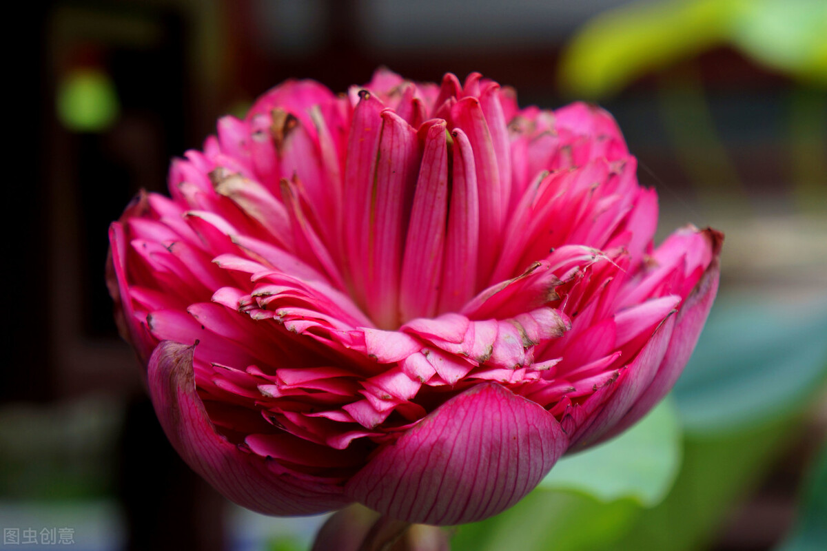 产科女医生的故事,妇产科门诊精彩故事