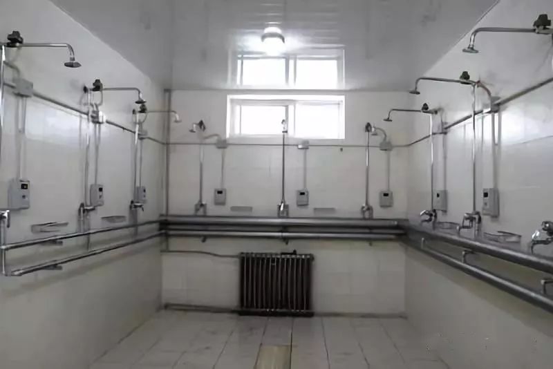 上了大学就自由了？这才是真实的大学生活......