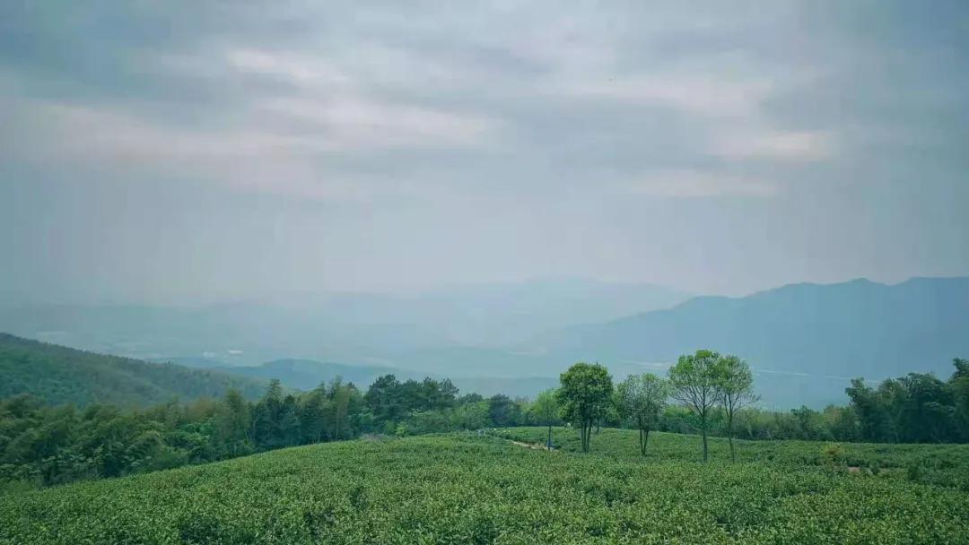 小李阿姨视频,小李阿姨生活视频