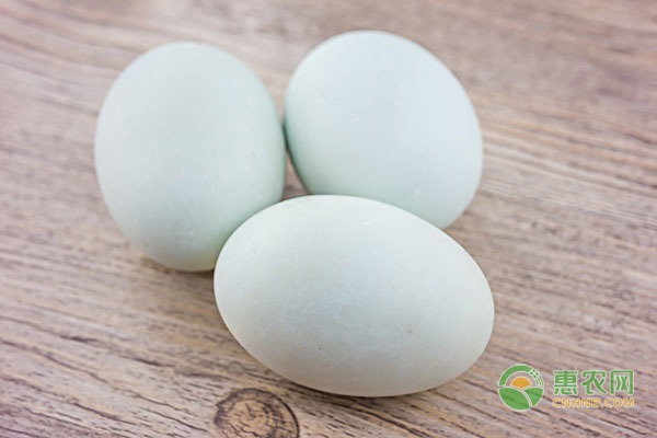 今日鸡蛋价格讷河鸡蛋价格,山东今日鸡蛋价格行情最新报价