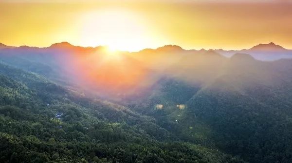 寻着浓浓年味儿,寻着春的气息来踏青