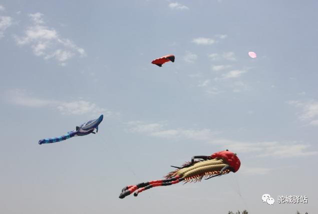 榆林芹河旅游,榆阳区周末游玩推荐