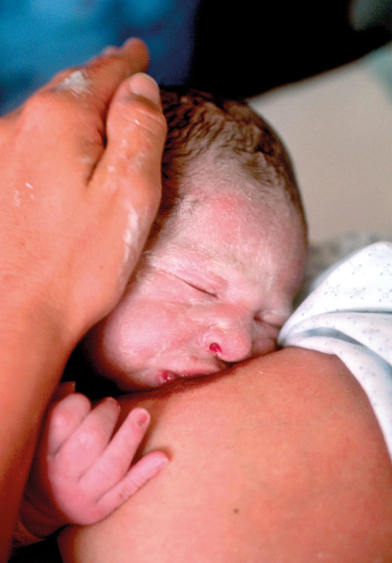 肠道菌群与婴儿免疫,肠道菌群与免疫力