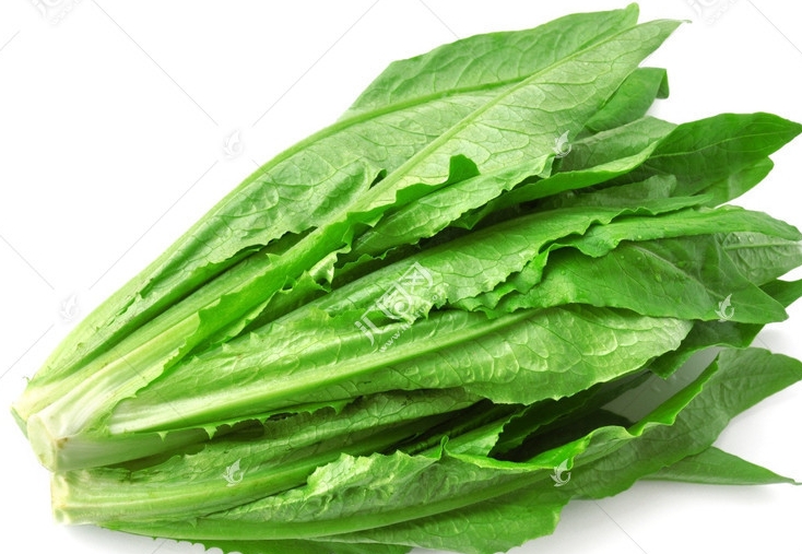 清洗叶类菜的最佳方法,清洗花叶子用什么水最好