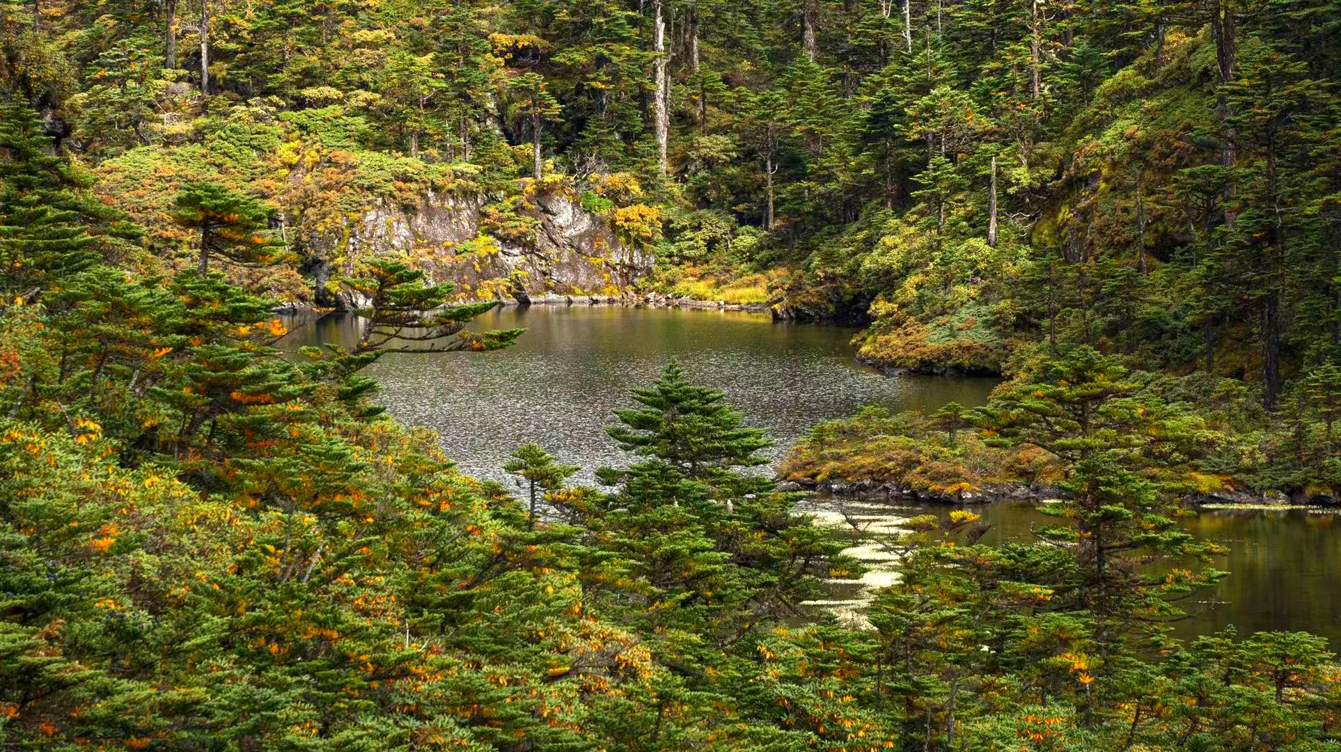 云南香格里拉旅游秘境,云南香格里拉藏着一个雪域秘境