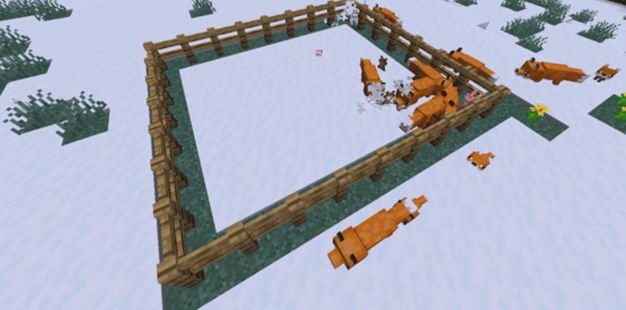 我的世界狐狸喜欢什么地方,狐狸特性