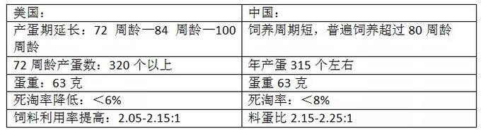 蛋鸡养鸡市场现状分析,2021年13季度我国蛋鸡市场分析