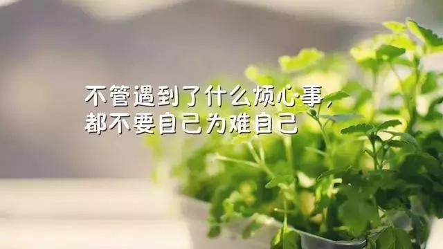 周六早上好问候语温馨短句简短,周日正能量早上好祝福语