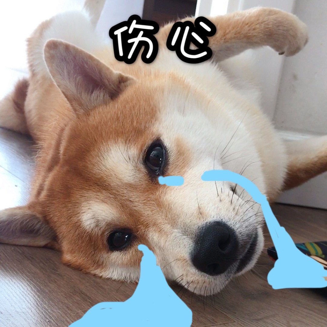 狗狗糖尿病痛苦吗,狗狗糖尿病晚期会不会很痛苦