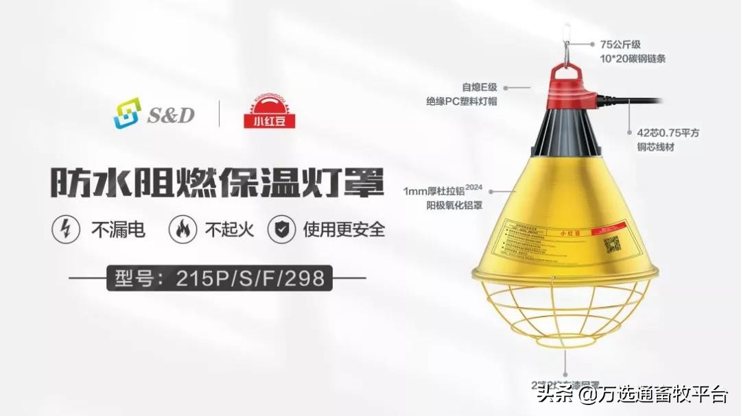 温暖相约“小红豆”，助力猪场新发展