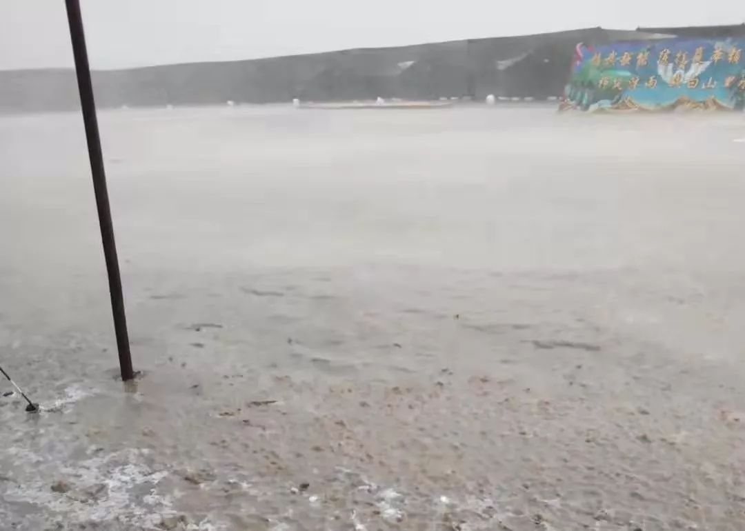 视点|看了才信!这个旅的“生命线”活力迸发