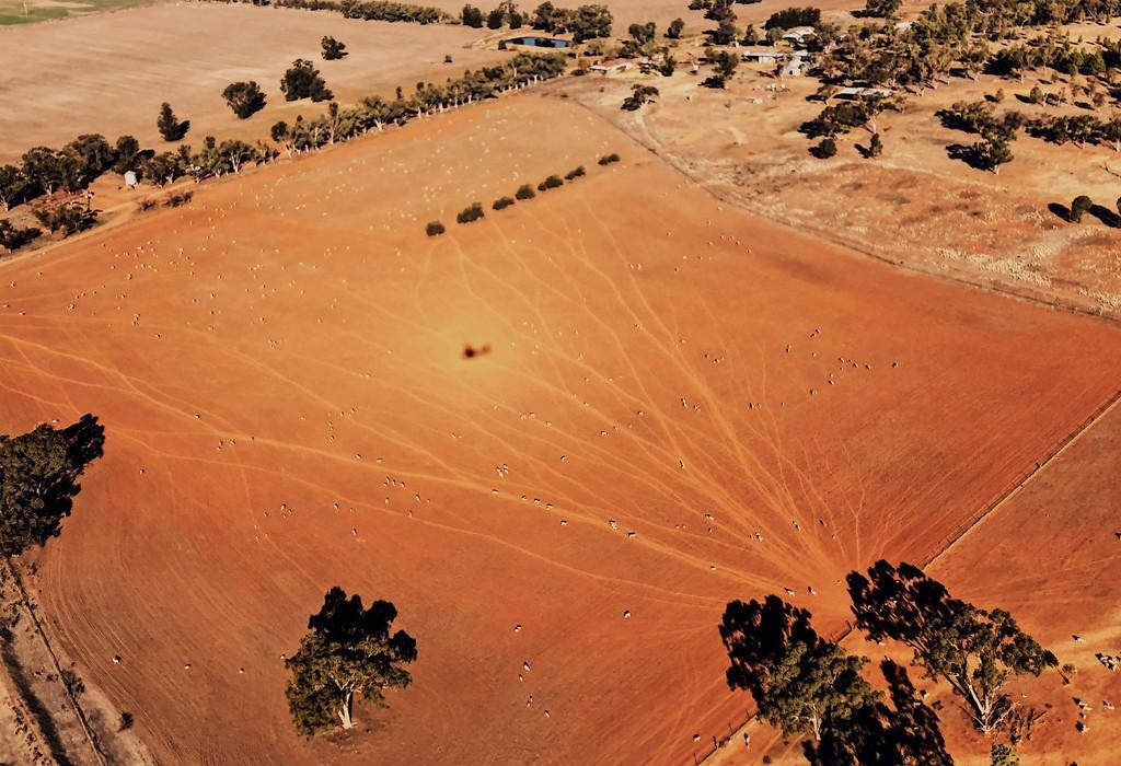 澳大利亚有大湖和大河吗,澳洲没有大河大湖