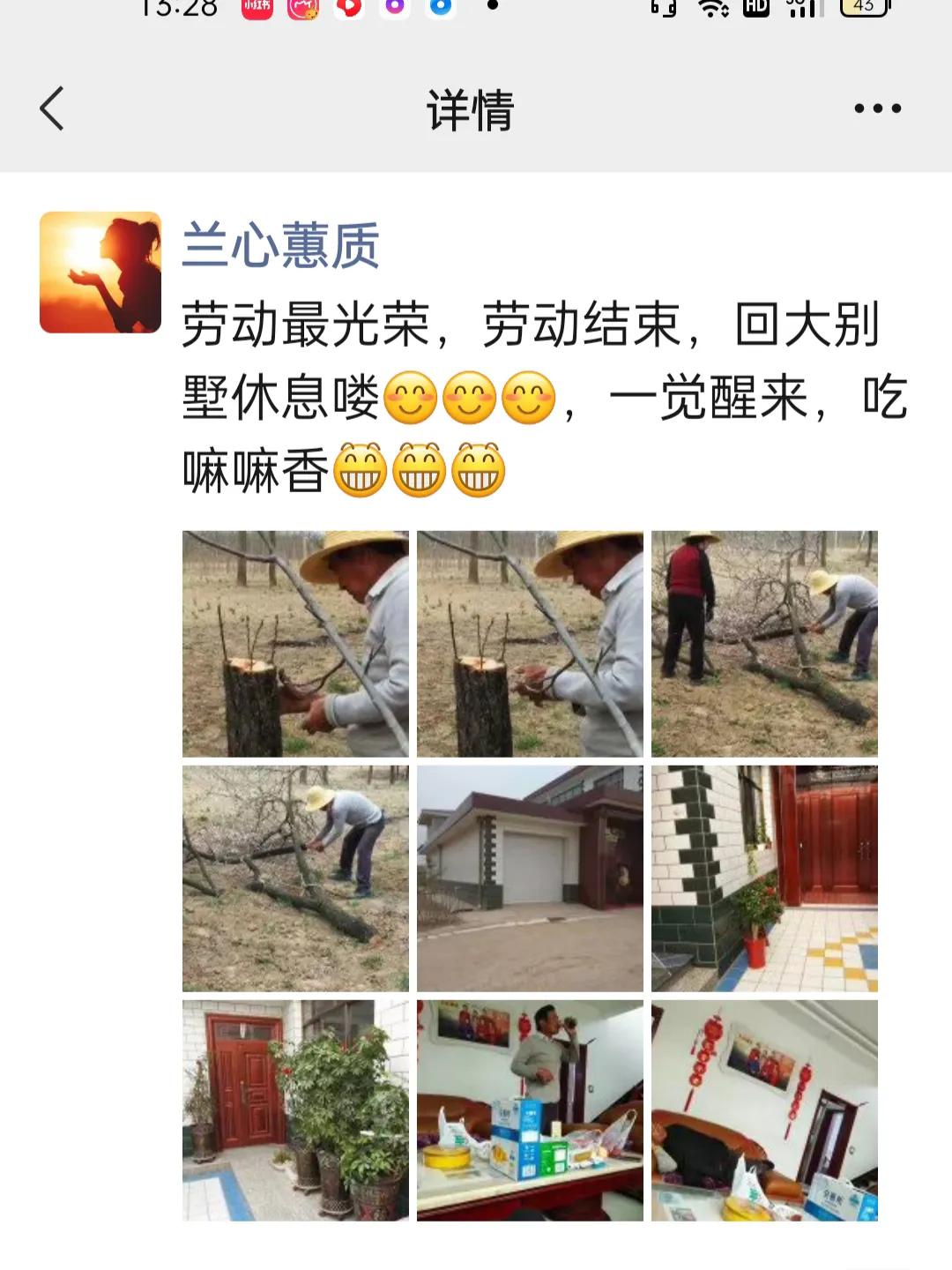 从田园博主走出国门到《向往的生活》,新农村生活究竟有多美?