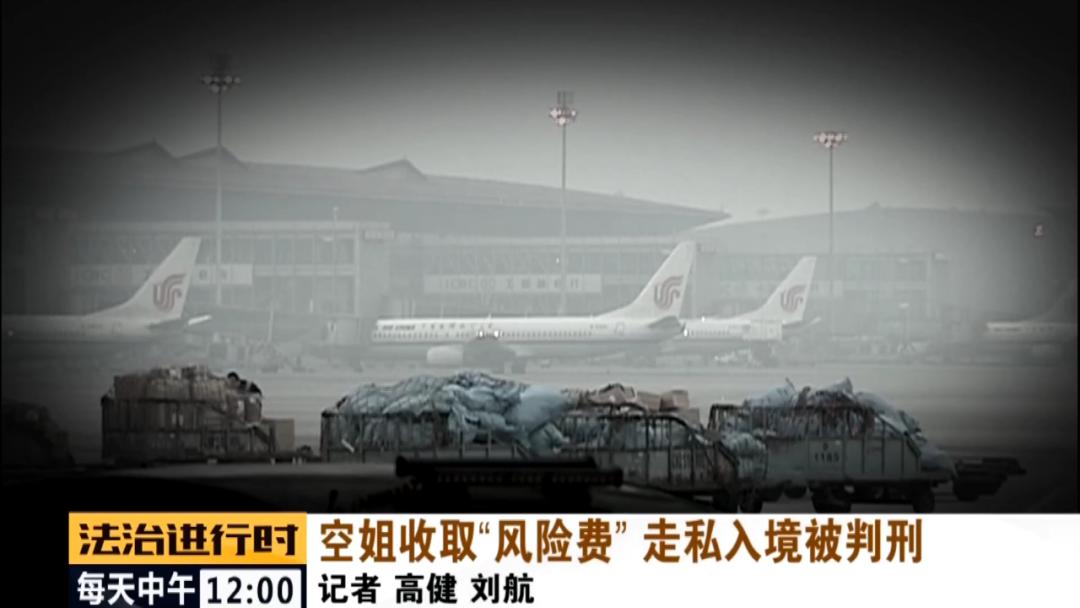 90后空姐裸辞养猪,90后北京空姐