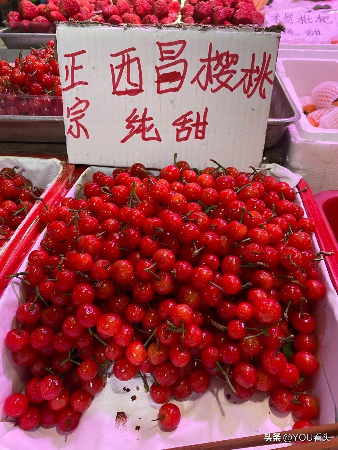 成都市恩桃儿,恩桃成都