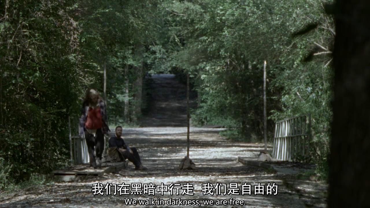 行尸走肉s10e2,行尸走肉s11-65