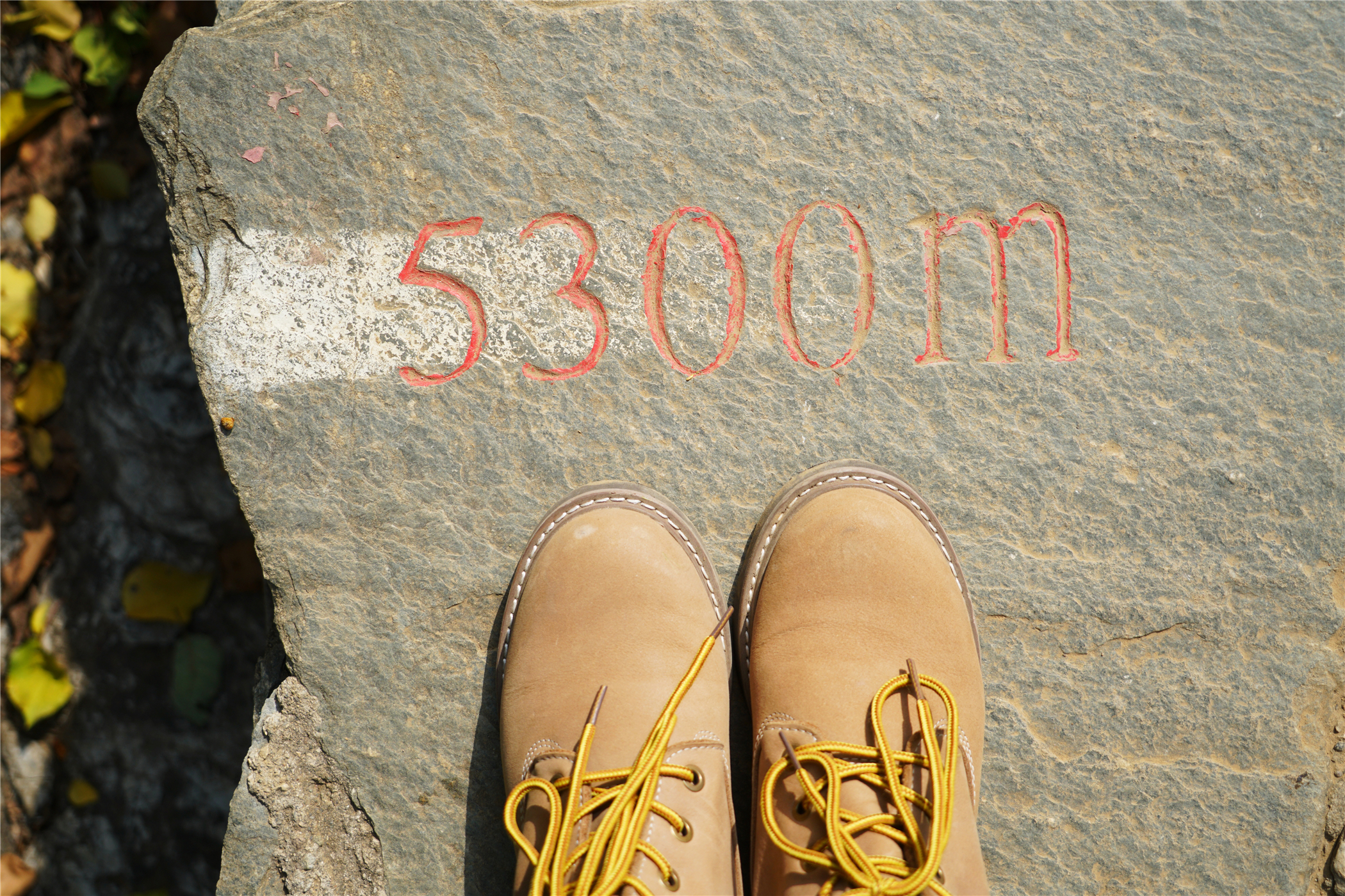 赏红叶最佳目的地,房山坡峰岭红叶最佳观赏