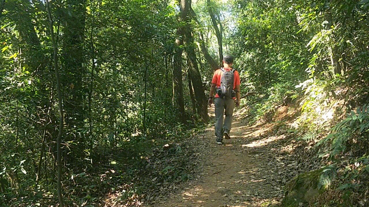 南岳72峰白云峰,南岳72峰之一聚湖峰