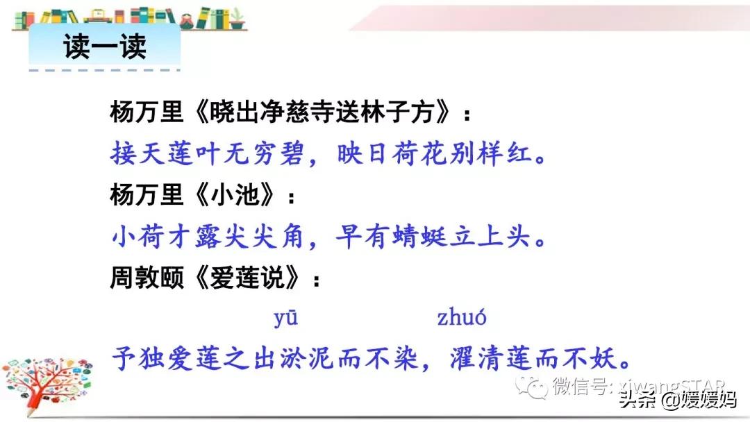 三年级下册荷花ppt课件部编版,三年级下册语文第三课荷花小练笔