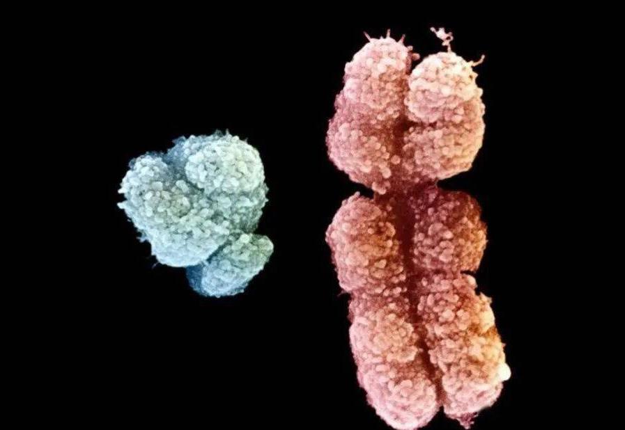 辛丑杂说——别忙笑人“娘”,且看自己怎么样?