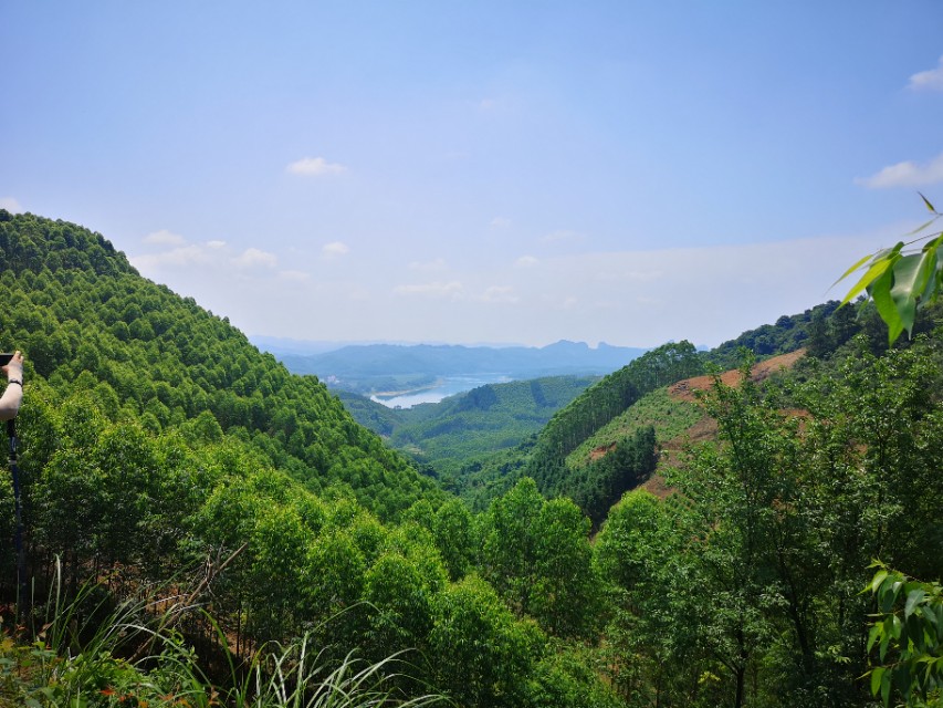 五月的风情图片,五月的风情感语录