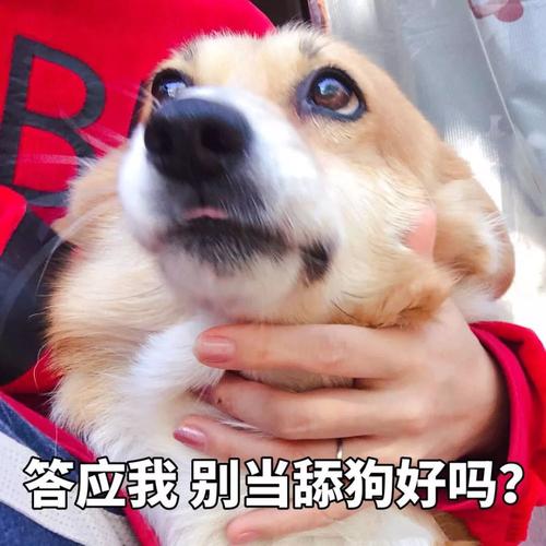 如何机智回复女生哈哈哈,怎么巧妙回复女生哈哈哈