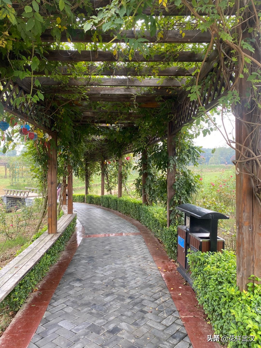 武汉花博汇一天游玩大概多少钱,武汉花博汇值不值得玩