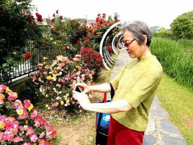 从丁亥到己亥—武昌水果湖中学六六届高三（1）班同学聚会本命年