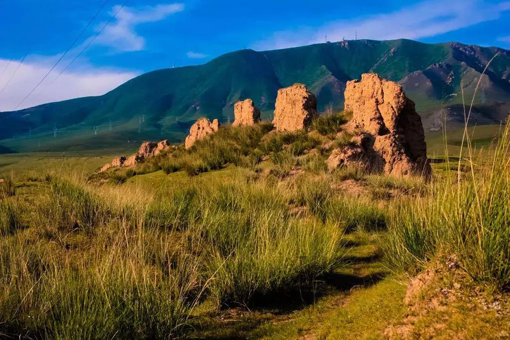 诗意天祝‖送你一把芨芨草