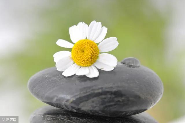 不堪回首的经历让人心疼,不堪回首的痛苦经历