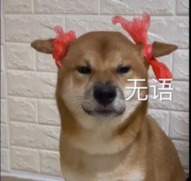 长辈们对专业误解,长辈对专业的误解