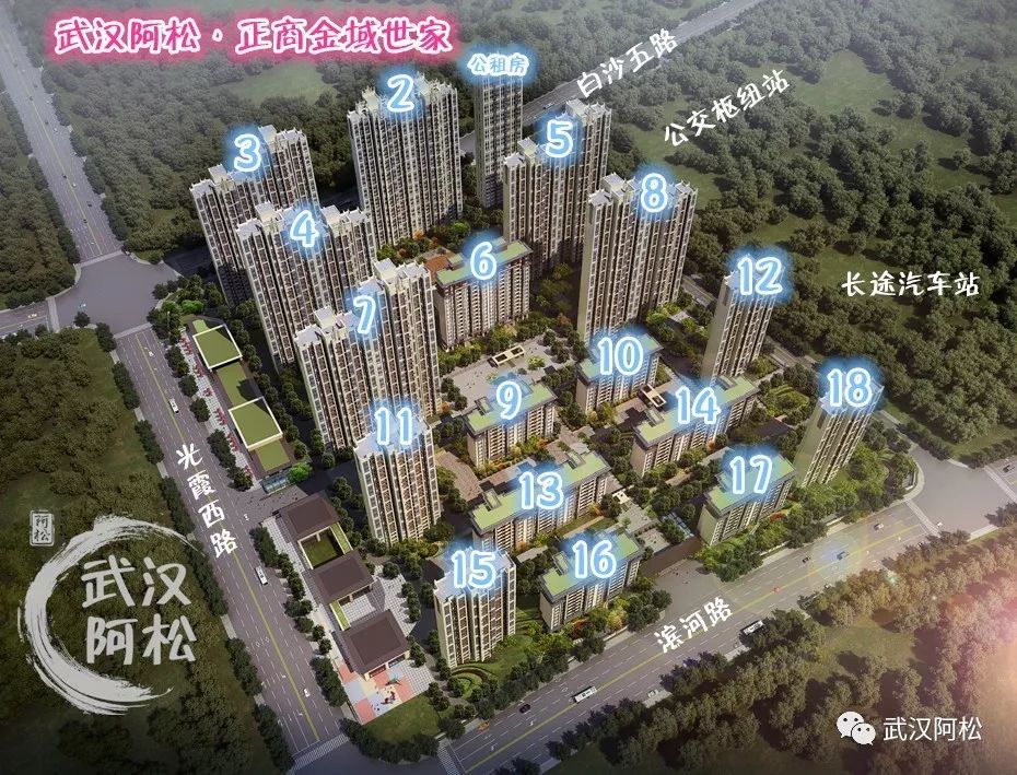 白沙洲新楼盘排行榜2020,白沙洲最火盘