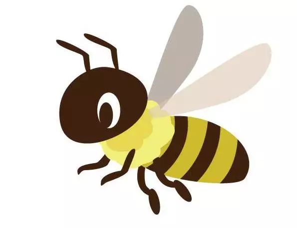 猫咪为啥吃虫子,猫咪为什么吃虫子