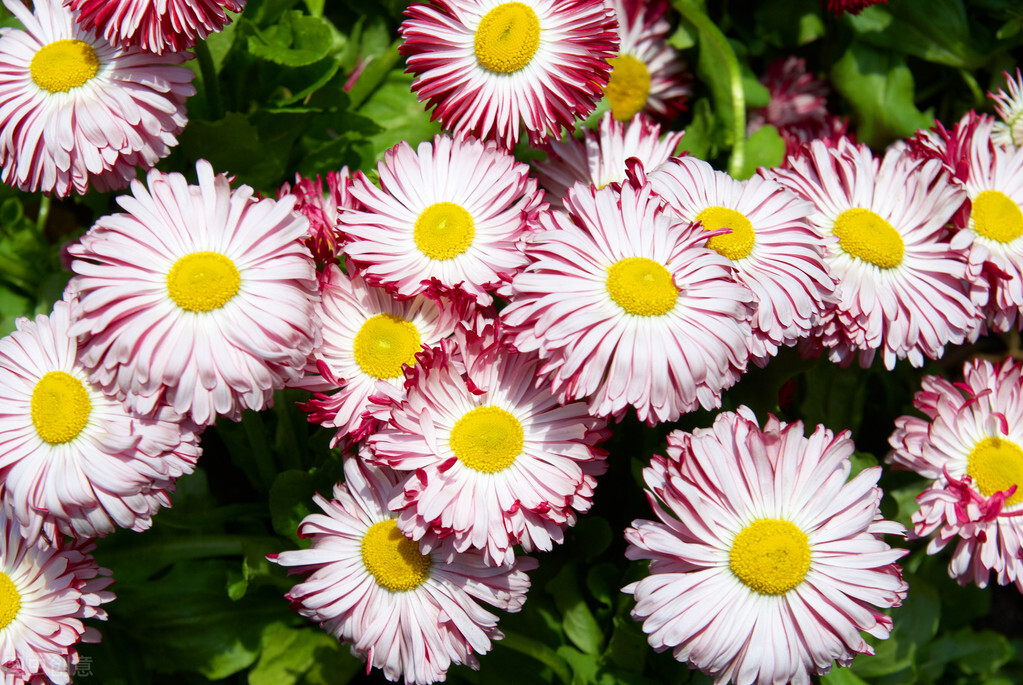 朋友圈发宝藏的说说句子,精致入心的朋友圈句子