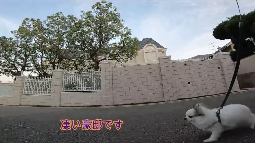 21分钟直达大阪、日本工业支柱城市神户，竟隐藏著名富人区？